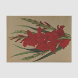 Papel De Seda Gladiolus Gandavensis. Var. Brench Leyensis