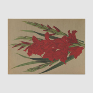 Papel De Seda Gladiolus Gandavensis. Var. Brench Leyensis