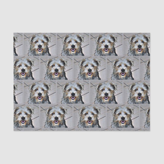 Papel De Seda Glen of Imaal Terrier (Anverso)