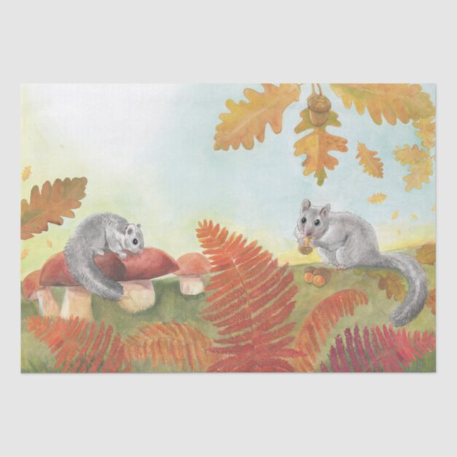 Papel De Seda Glis Glis Glis de la Gorra Europea (Anverso)