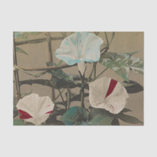 Papel De Seda Gloria de la mañana de Ogawa Kazumasa