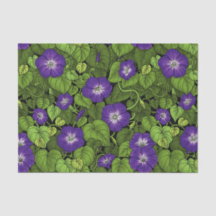 Papel De Seda Gloria matutina en morado y verde
