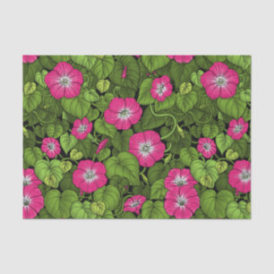 Papel De Seda Gloria matutina en rosa y verde