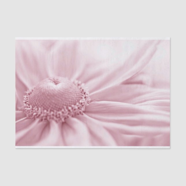 Papel De Seda Gloriosa Daisy Macro (Anverso)