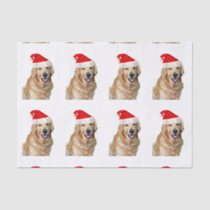 Papel De Seda Golden Retriever