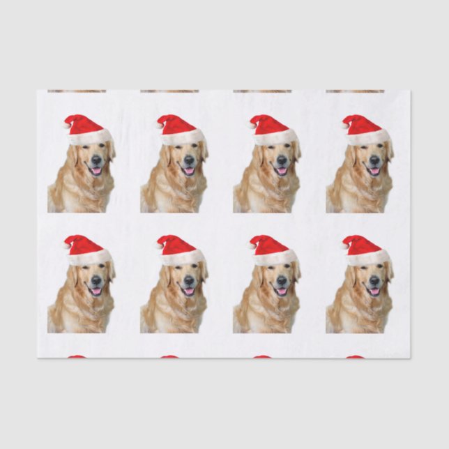 Papel De Seda Golden Retriever (Anverso)