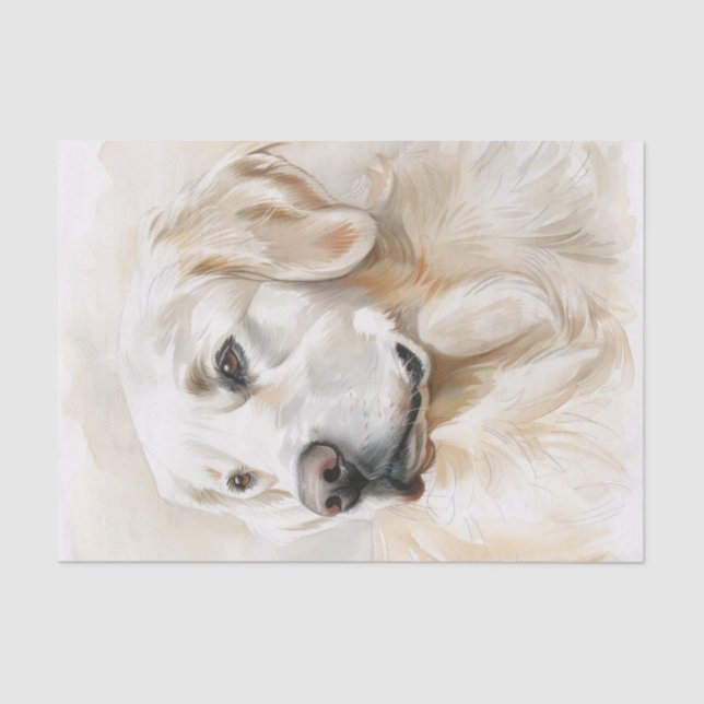 Papel De Seda Golden Retriever7 (Anverso)