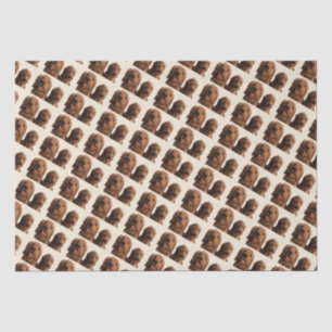 Papel De Seda Goldendoodle Brothers