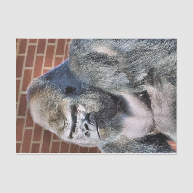 PAPEL DE SEDA GORILLA (Anverso)