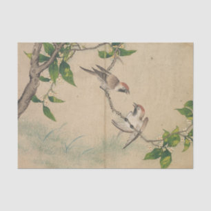 Papel De Seda Gossiling Sparrows por Zhang Ruoai
