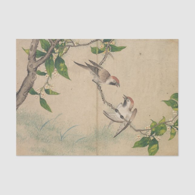 Papel De Seda Gossiling Sparrows por Zhang Ruoai (Anverso)