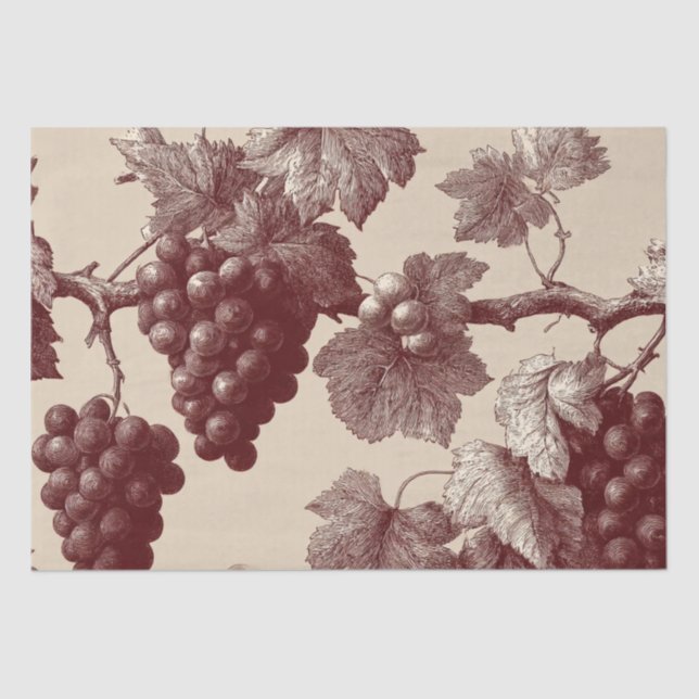 Papel De Seda Grabado Antiguo de Uvas de Viñedo (Anverso)