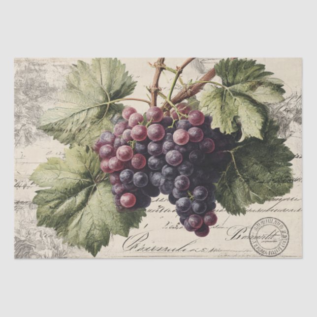Papel De Seda Grabado Antiguo de Uvas de Viñedo (Anverso)
