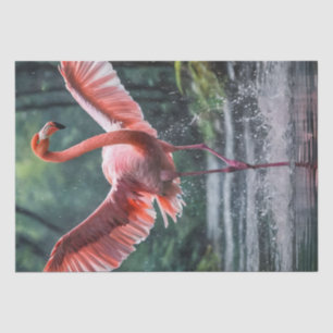 Papel De Seda Grace en Flight: El Riverdance de los flamencos ro