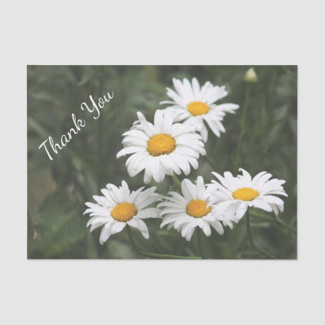 Papel De Seda Gracias Daisy Tissue Paper (Anverso)