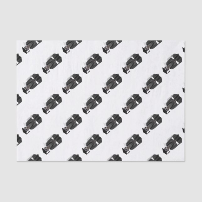 Papel De Seda Graduado de Meerkat con traje gris y negro (Anverso)