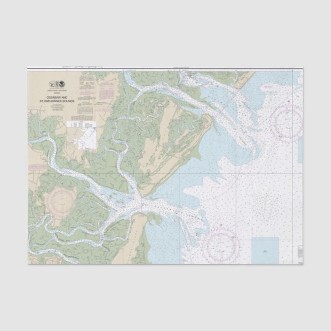 Papel De Seda Gráfico naumático ossabaw y St Catherines (Anverso)