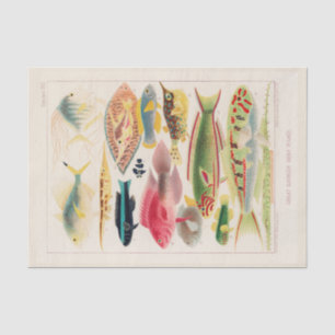 Papel De Seda Gran barrera de arrecife de Australia