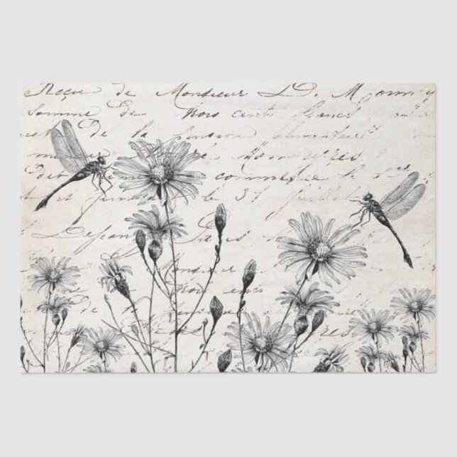 Papel De Seda GRAN escritura francesa descomposición de la libre (Anverso)