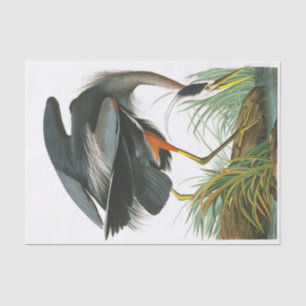 Papel De Seda Gran garza azul de John James Audubon