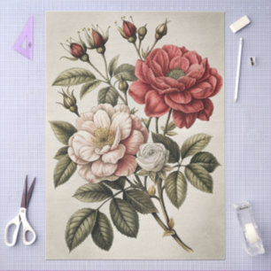 Papel De Seda Gran Mueble de Decoupage Floral Elegante