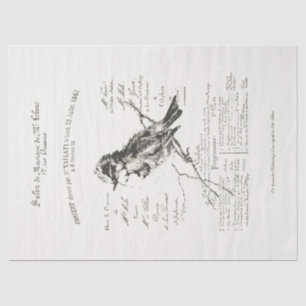Papel De Seda Gran Salón de Música Francesa Bird Script Tissue P