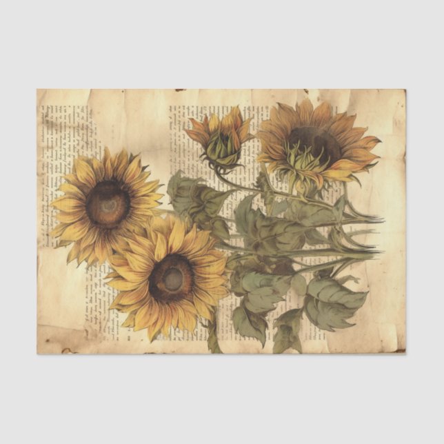Papel De Seda Grandes girasoles vintage en guión (Anverso)