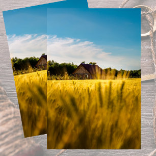 Papel De Seda Granero rural en un trigal dorado brillante