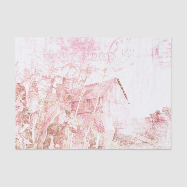 Papel De Seda Granero rústico campestre blanco marrón descuidado (Anverso)