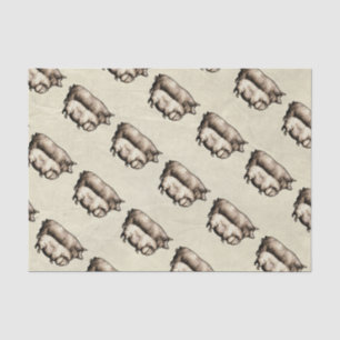 Papel De Seda Granja Antigüa Cerdo País Antigüedad Ganado