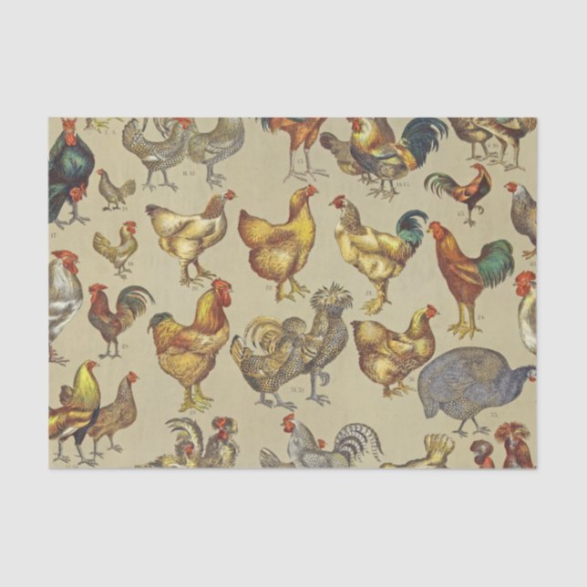 Papel De Seda Granja de pollo de gallo (Anverso)