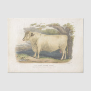 Papel De Seda  Granja de Vaca Blanca Ephemera Desahuciar