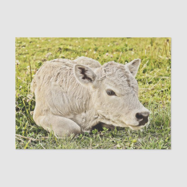 Papel De Seda Granja de Vacas Rústica Decoupage Campestre (Anverso)