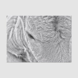 Papel De Seda Granja Vaca Vintage Rústica Negra Y Blanca