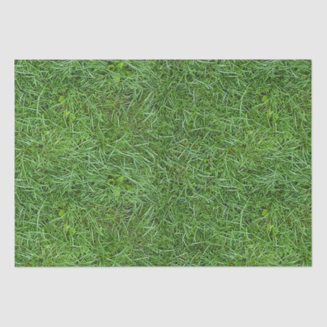 Papel De Seda Grasa verde (Anverso)