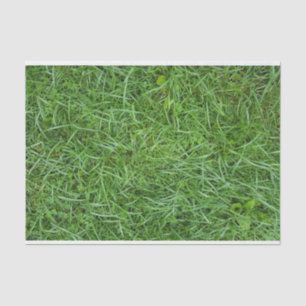 Papel De Seda Grasa verde