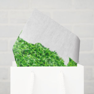 Papel De Seda Grasa verde fuera de Mascotas Perros Animales Aman