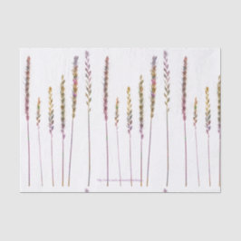 Papel De Seda Grasas coloreadas