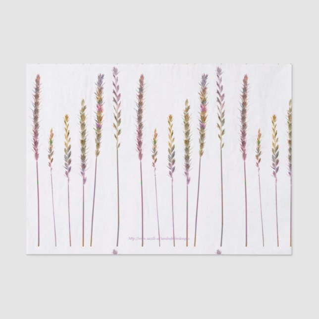 Papel De Seda Grasas coloreadas (Anverso)