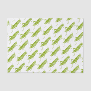Papel De Seda Grasshoppers