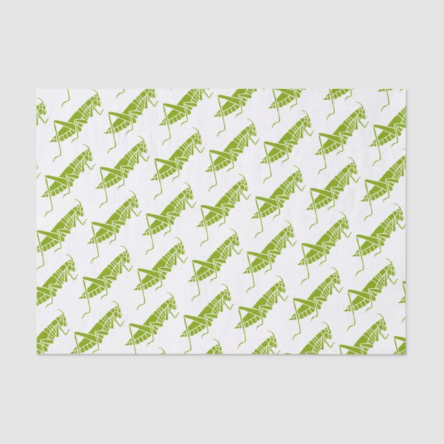 Papel De Seda Grasshoppers (Anverso)