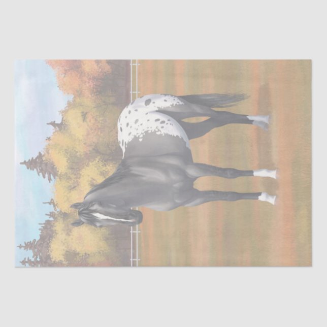 Papel De Seda Gray Grulla Appaloosa Quarter Stallion (Anverso)