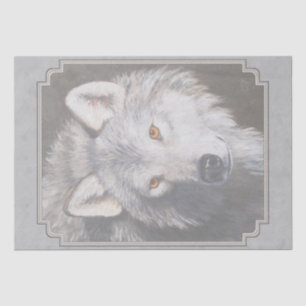 Papel De Seda Gray Timber Wolf Face