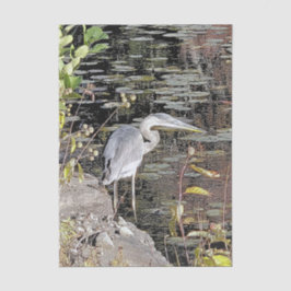 Papel De Seda Great Blue Heron Stretched Canvas Print