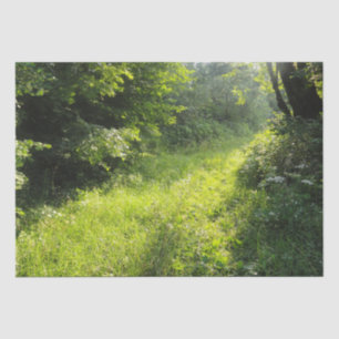 Papel De Seda Green Forest Meadow
