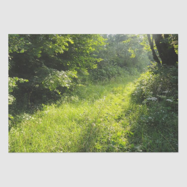 Papel De Seda Green Forest Meadow (Anverso)