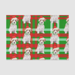 Papel De Seda Green Plaid con los Navidades de Jack Russell Terr