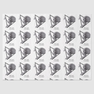 Papel De Seda Grey Alien, la verdad está ahí fuera