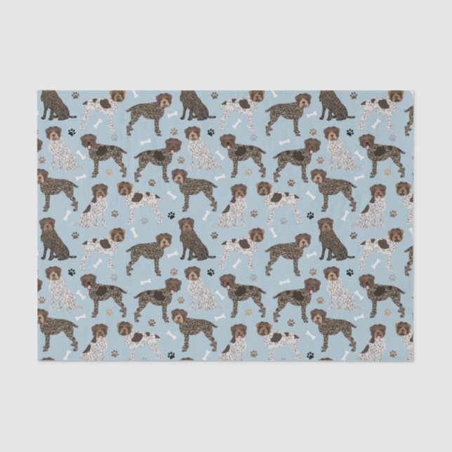 Papel De Seda Griffon puntiagudo con cable (Anverso)