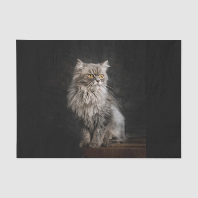Papel De Seda Gris Fluffy Cat (Anverso)